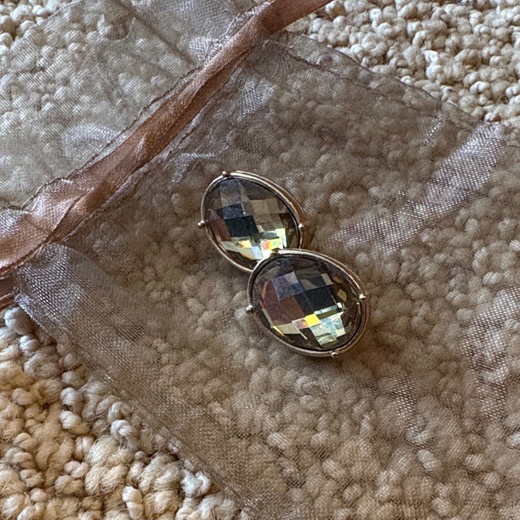 Chicos Crystal Oval Clip Earrings - Silver 20$
